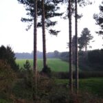 Rendlesham Forest: el bosque entre dos bases nucleares y el memorándum que un teniente coronel firmó con su nombre